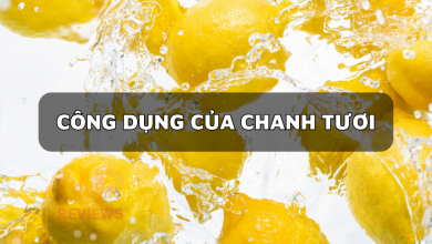 Chanh tươi có tác dụng gì? 10+ công dụng làm đẹp tốt nhất mà chanh tươi mang lại
